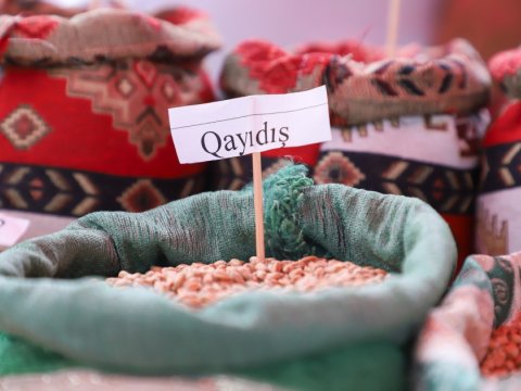 Gədəbəydə Aqrar Biznes Festivalı keçirilib - FOTO