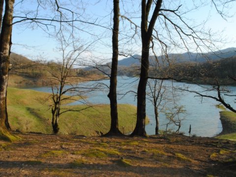 Hirkan Milli Parkında YANĞIN