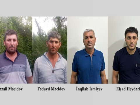 Fermada çətənə kolları yetişdirən 4 nəfər saxlanıldı