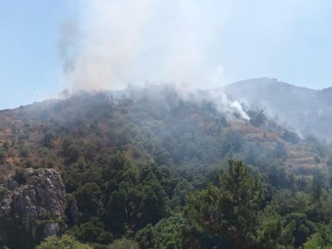 Türkiyədə meşə yanğını zamanı üç nəfər ölüb&nbsp;