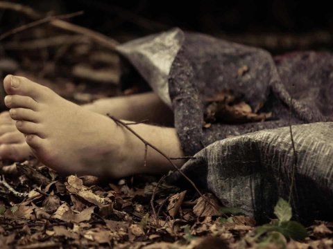 1 il əvvəl itkin düşmüş kişi və qadının sümükləri meşədə tapıldı