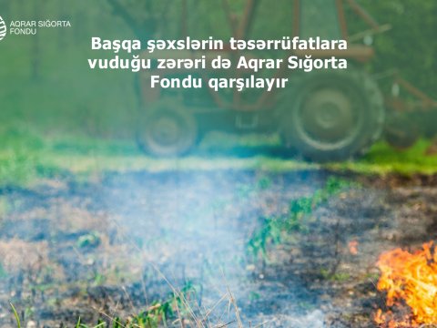 Üçüncü şəxslərin hərəkətlərindən dəyən zərərə görə sığorta müqaviləsi bağlayın!