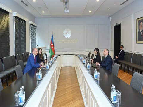 Emin Əmrullayev İsveçin səfiri ilə görüşdü