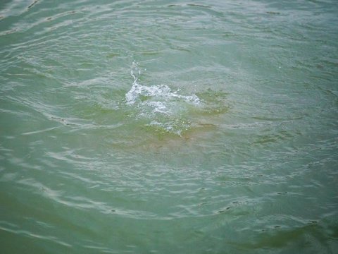 İki gün öncə çayda batan kişinin meyiti tapıldı&nbsp;