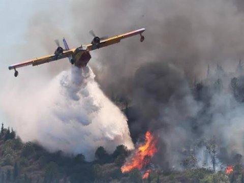 Türkiyə meşə yanğınları ilə mübarizə aparır