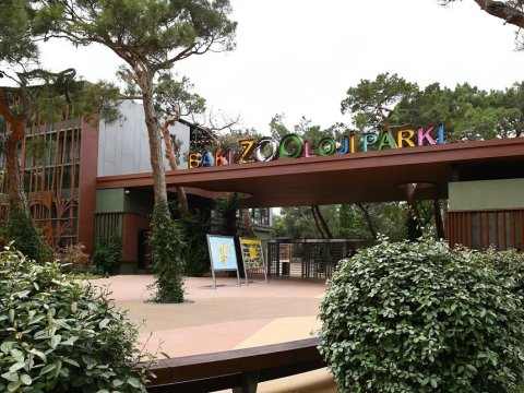 Bakı zooparkı qiymətləri qaldırdı