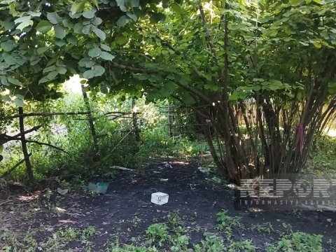 Oğuzda faciə: 11 yaşlı qız boğulub öldü&nbsp;