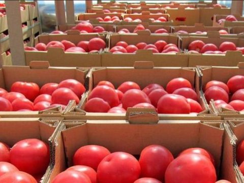 Rusiya 16 erməni şirkətinin meyvə-tərəvəz ixracına qadağa qoydu&nbsp;