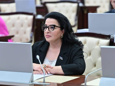 Ölkəmiz COP29-la bağlı qarşıya qoyduğu hədəflərə nail olacaq&nbsp;- Deputat