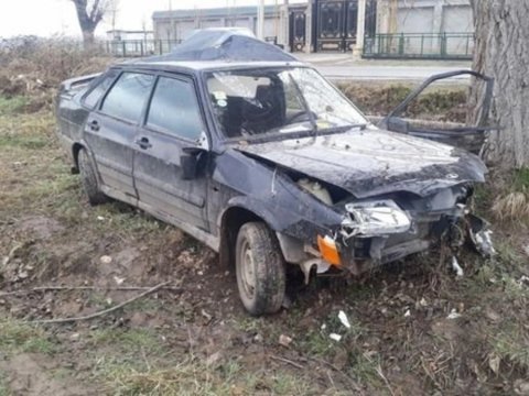 Salyanda avtomobil ağaca çırpıldı&nbsp;- Xəsarət alanlar var