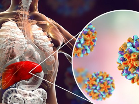 Hepatit viruslarından necə qorunmaq lazımdır?