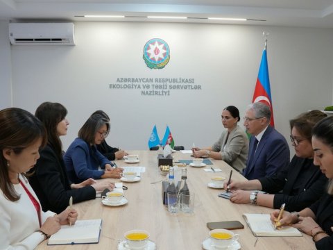 Muxtar Babayev BMT rəsmisi ilə COP29-a hazırlığı müzakirə edib