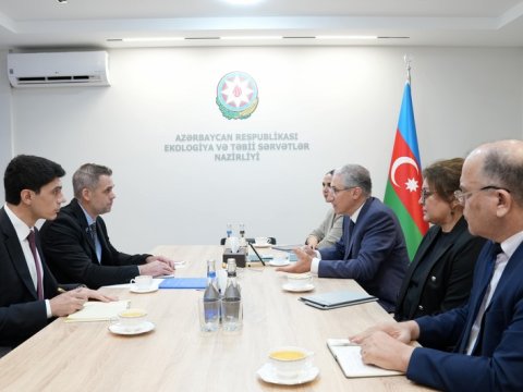 Muxtar Babayev BMqT rəsmisi ilə COP29-a hazırlığı müzakirə edib