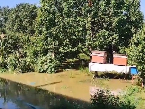 Samuxda&nbsp;evləri su basıb - VİDEO