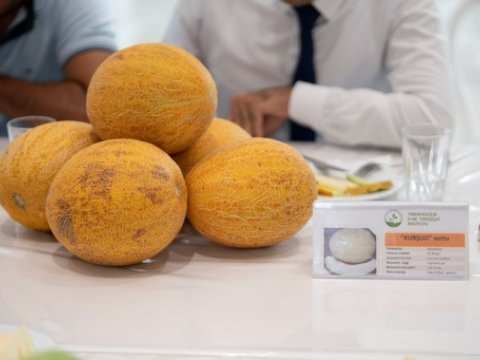Azərbaycanda 6 qədim yemiş sortu bərpa olundu - FOTOLAR