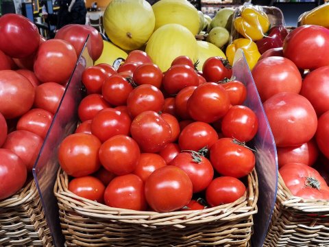 Yayın istisində 3 manata pomidor - VİDEO