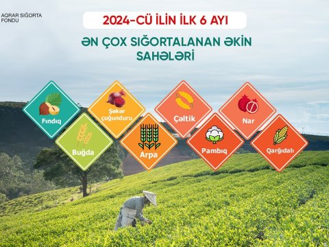 Azərbaycanda sığortalanan əkin sahələrinin həcmi artır