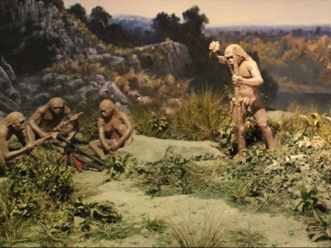 Alimlər qədim insanların yemək bişirmə üsullarını öyrəniblər