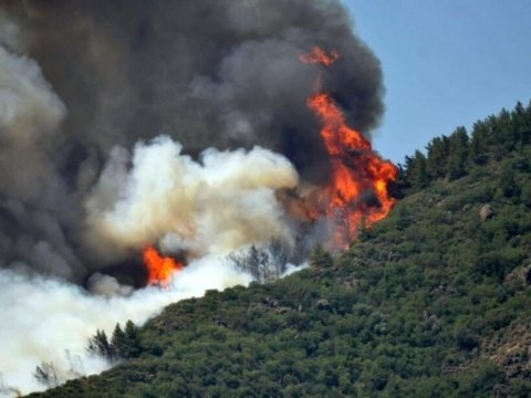 Rusiyada meşə YANIR