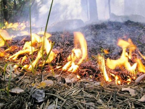 Bakıda açıq sahə yanır