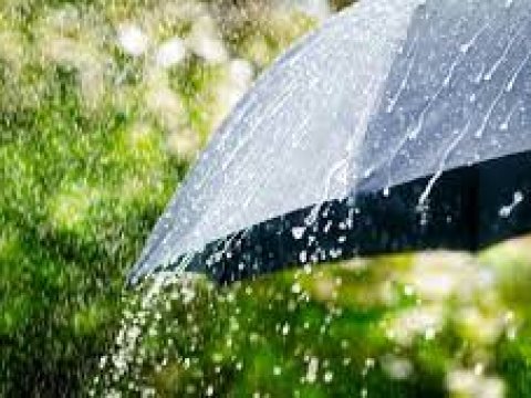 Yağış, şimşək - FAKTİKİ HAVA