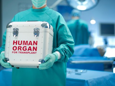 Azərbaycanda 794&nbsp;nəfər donor&nbsp;gözləyir - ÖZƏL