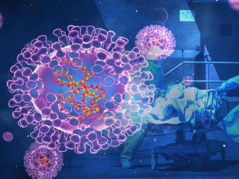 Türkiyədə meymunçiçəyi yoxdur - RƏSMİ