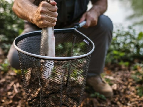 Qanunsuz balıq ovlayan 10 nəfər tutuldu