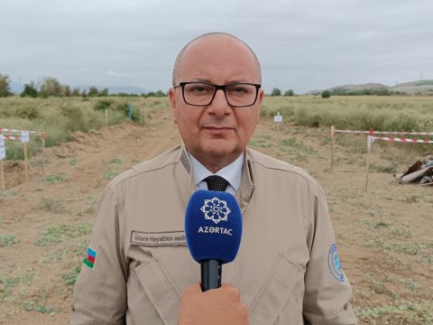 Bu günə kimi 156 min hektara yaxın ərazi minalardan təmizlənib&nbsp;