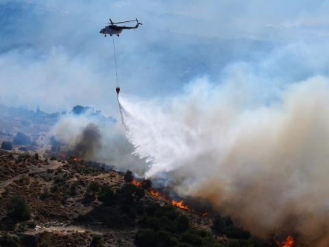 1 sutkada 47 meşə yanğını
