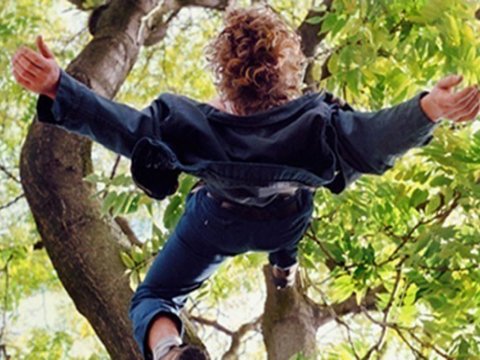 Ağacdan yıxılıb öldü