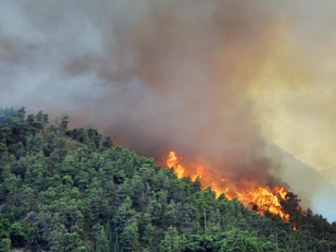 Türkiyədə meşə yanğınları DAVAM EDİR