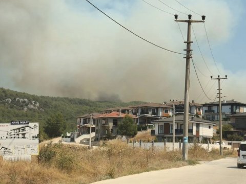 Türkiyədə daha iki meşə yanğını