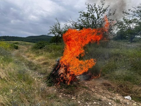 1 tondan artıq çətənə kolu yandırıldı