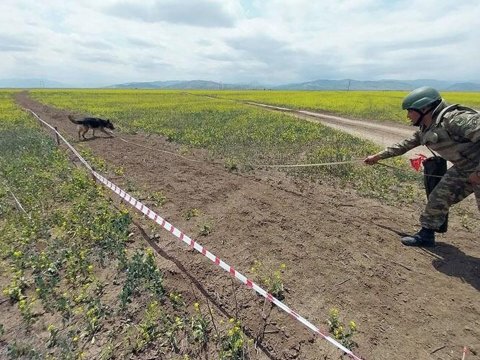 Son 4 ildə minatəmizləməyə 349 milyon manat XƏRCLƏNİB