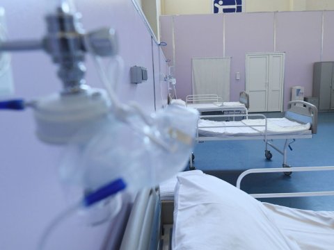 Azərbaycanda&nbsp;"Qərbi Nil" virusuna yoluxan var? - Rəsmi CAVAB