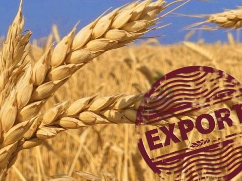 Bu gündən Rusiyadan taxıl ixracı üçün rüsumlar artırılır