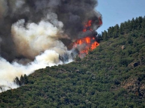 Ankarada meşə yanğınları - Kənd boşaldıldı