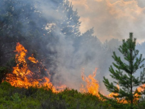 İsti günlərdə yanğına həssas bölgələr