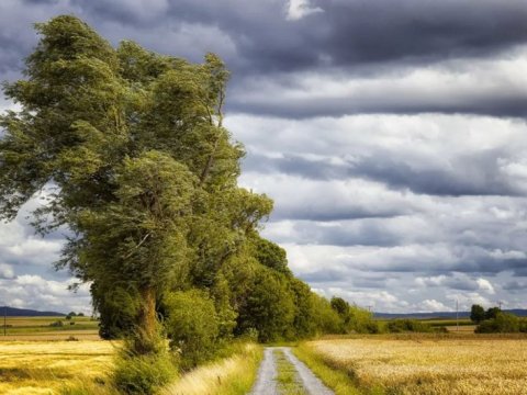 Güclü küləklə bağlı XƏBƏRDARLIQ