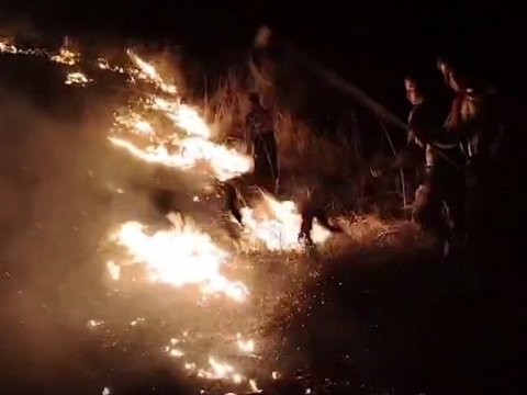 Qubadlıda yanğın - VİDEO