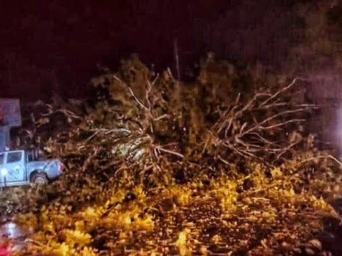 Əlverişsiz hava şəraiti Gürcüstanda fəsadlar yaradıb