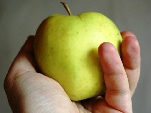 Paşinyana alma atan 71 yaşlı erməni saxlanıldı