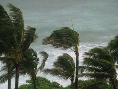 Külək güclənəcək - XƏBƏRDARLIQ