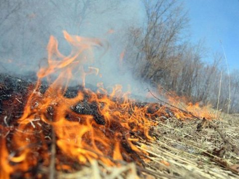 Dövlət Xidməti yanğına həssas bölgələri açıqladı
