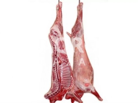 Azərbaycan xaricə daha qoyun əti satmır