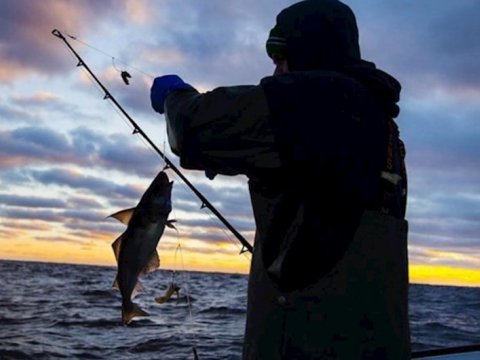 Nazirlikdən balıq ovu ilə bağlı əhaliyə ÇAĞIRIŞ