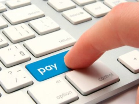 Elektron pul təşkilatlarının sayı 9-a çatdı, onlar nə iş görür?