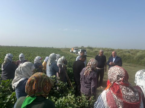 Əhliman Əmiraslanovun seçicilərlə növbəti görüşü keçirilib