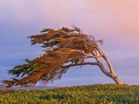 Nazirlikdən güclü küləklə bağlı xəbərdarlıq